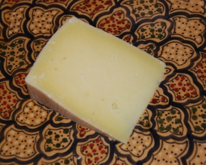 estero_gold_cheese_by_cheesechatter_april_2011